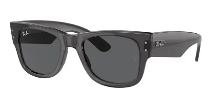 Ray-Ban 0RB0840S