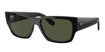 Ray-Ban 0RB0947S
