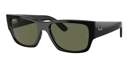 Ray-Ban 0RB0947S