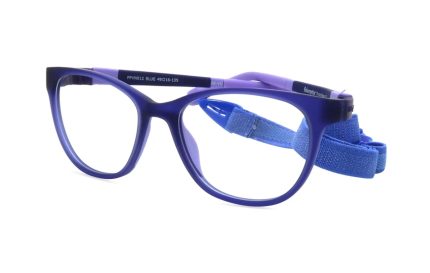 FISHER PRICE   FPVN012 BLUE